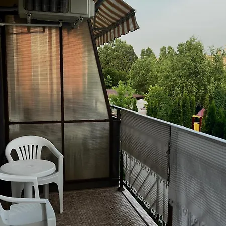 Sunny Noks Orchid 阳光海滩