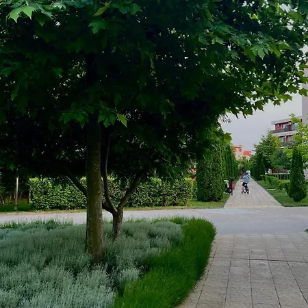 Sunny Noks Orchid Апартаменти